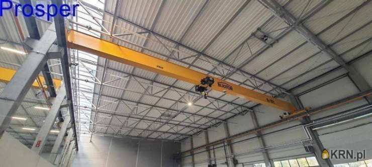 Zabrze, ul. , Lokal użytkowy  do wynajęcia, 