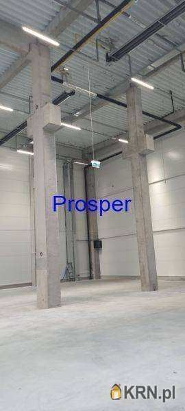 Zabrze, ul. , , Lokal użytkowy  do wynajęcia