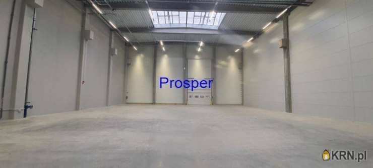 Zabrze, ul. , , Lokal użytkowy  do wynajęcia