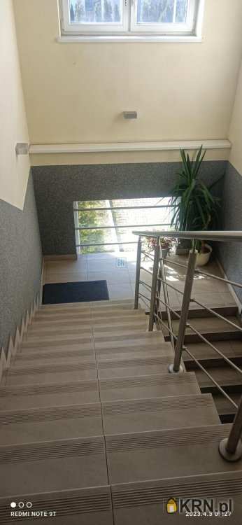 Zabrze, ul. , 3 pokojowe, Lokal użytkowy  do wynajęcia