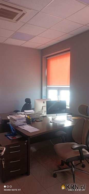 Zabrze, ul. , Lokal użytkowy  do wynajęcia, 3 pokojowe