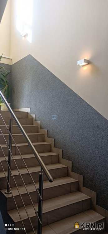 BN Nieruchomości, Lokal użytkowy  do wynajęcia, Zabrze, ul. 