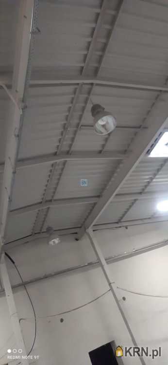 Zabrze, ul. , 10 pokojowe, Lokal użytkowy  do wynajęcia