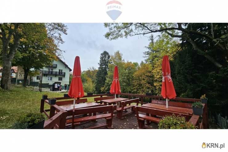 RE/MAX Polska, Lokal użytkowy  na sprzedaż, Karpacz, ul. 