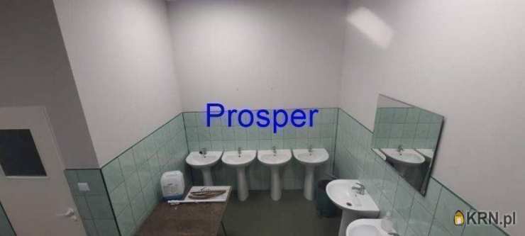 Prosper - Nieruchomości, Lokal użytkowy  do wynajęcia, Katowice, ul. 
