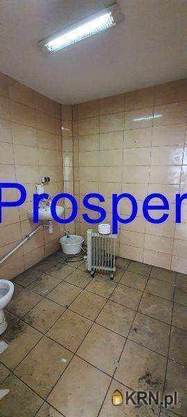 Mysłowice, ul. , Lokal użytkowy  do wynajęcia, 