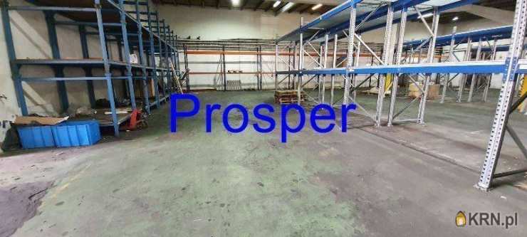 Lokal użytkowy  do wynajęcia, , Mysłowice, ul. 