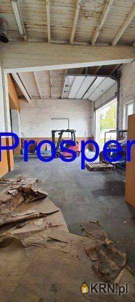 Prosper - Nieruchomości, Lokal użytkowy  do wynajęcia, Mysłowice, ul. 