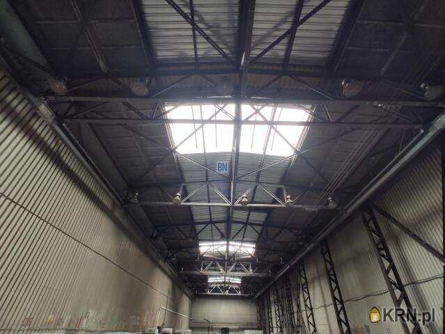 Lokal użytkowy  do wynajęcia, Chorzów, ul. , 1 pokojowe