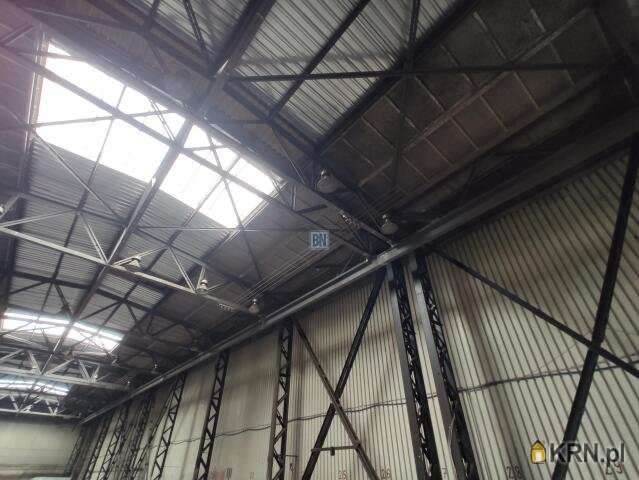 Lokal użytkowy  do wynajęcia, 1 pokojowe, Chorzów, ul. 