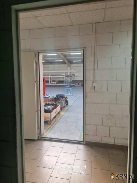 Lokal użytkowy  do wynajęcia, , Krapkowice, ul. 