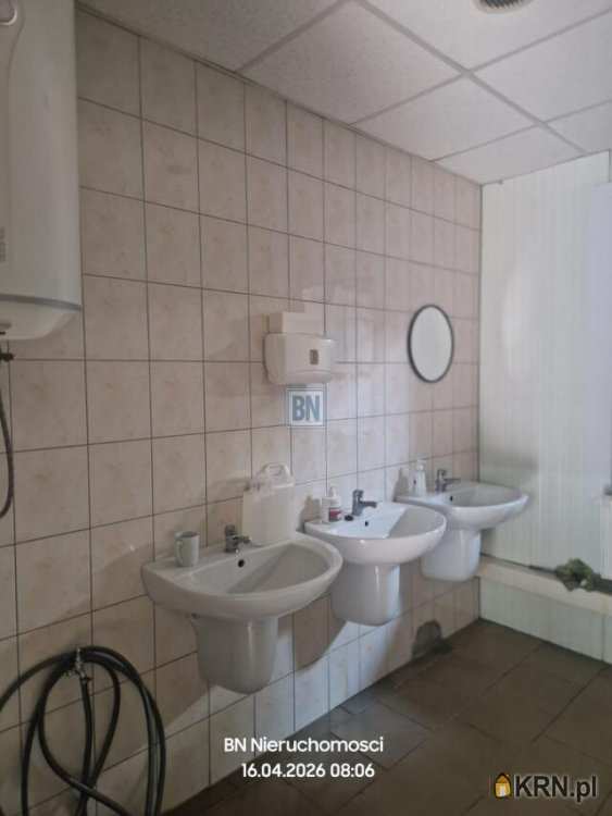 , Krapkowice, ul. , Lokal użytkowy  do wynajęcia