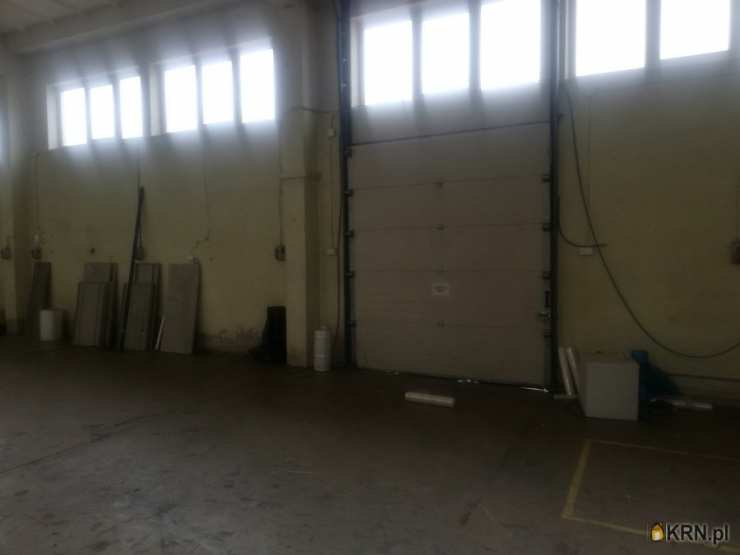 Żabno, ul. , 10 pokojowe, Lokal użytkowy  na sprzedaż