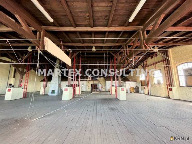 Lokal użytkowy  do wynajęcia, , Rybnik, ul. 