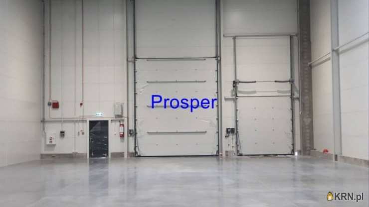 Lokal użytkowy  do wynajęcia, Ruda Śląska, ul. , 