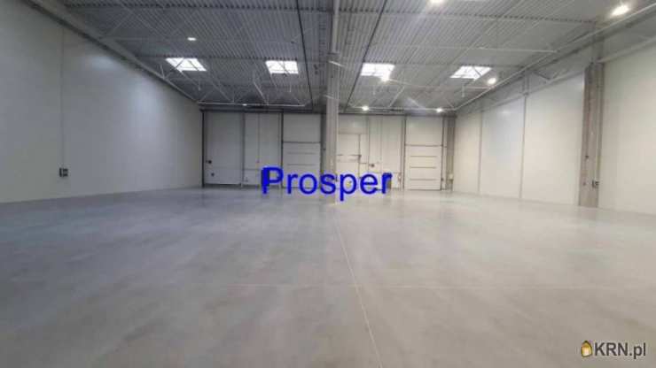 Ruda Śląska, ul. , Lokal użytkowy  do wynajęcia, 