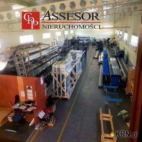 Kalisz, ul. , Lokal użytkowy  do wynajęcia, 