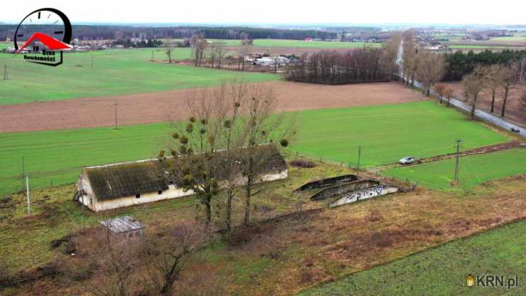 Czas Nieruchomości, Lokal użytkowy  do wynajęcia, Barcin, ul. 