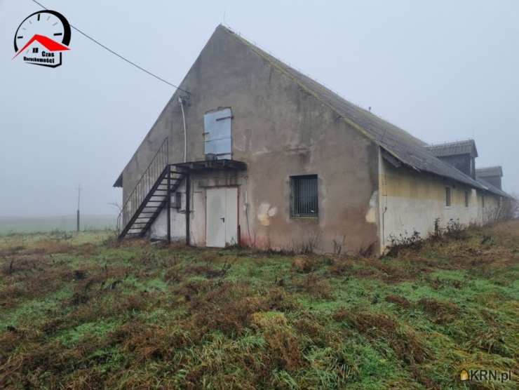 Lokal użytkowy  do wynajęcia, , Barcin, ul. 