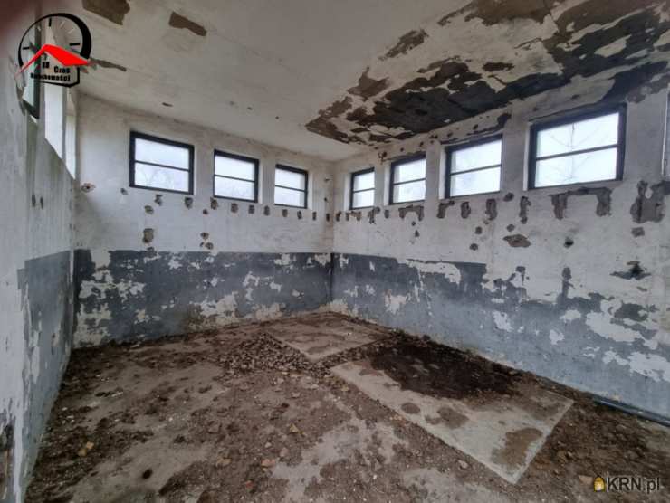 Lokal użytkowy  do wynajęcia, Barcin, ul. , 