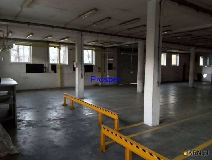 Lokal użytkowy  do wynajęcia, , Bielsko-Biała, ul. 