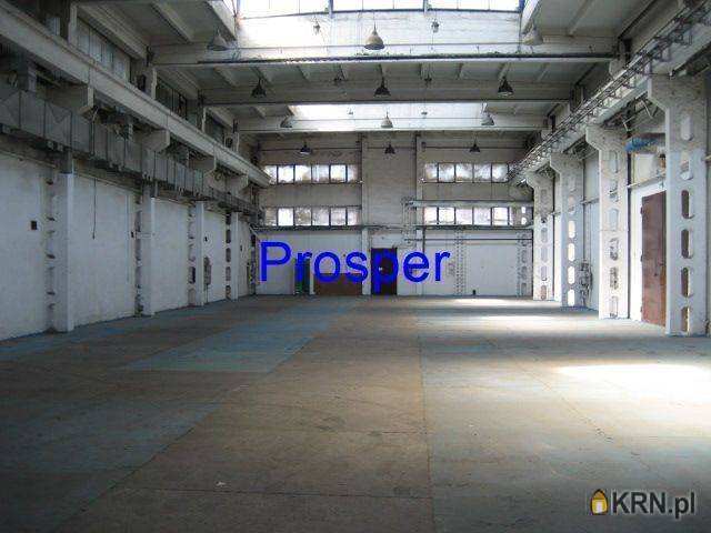 Lokal użytkowy  do wynajęcia, Katowice, ul. , 