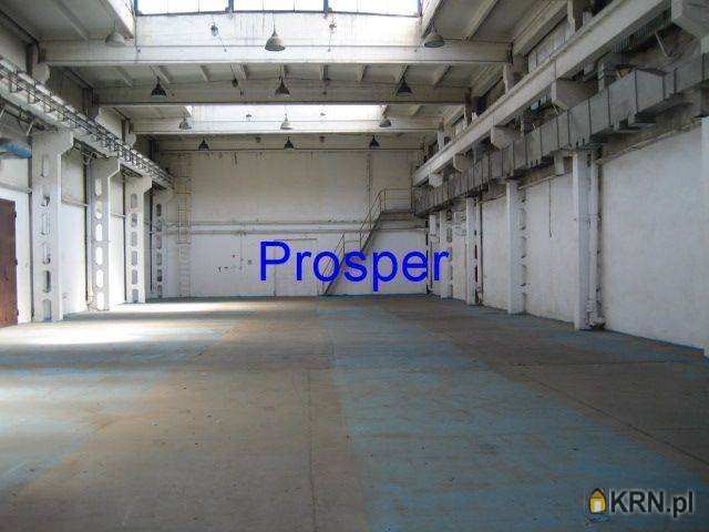 Lokal użytkowy  do wynajęcia, , Katowice, ul. 