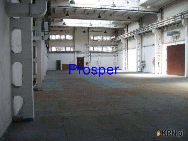 Katowice, ul. , Lokal użytkowy  do wynajęcia, 