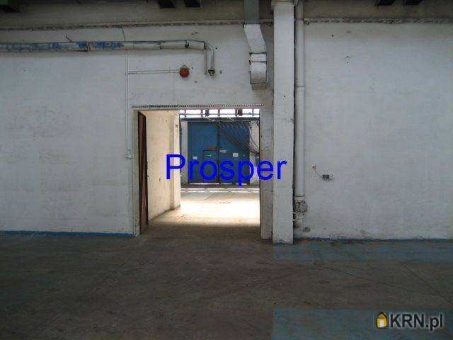 Katowice, ul. , , Lokal użytkowy  do wynajęcia