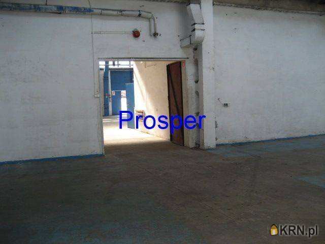 , Katowice, ul. , Lokal użytkowy  do wynajęcia