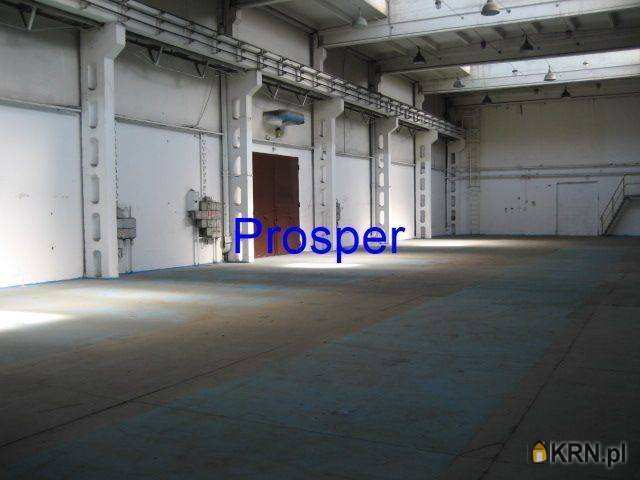 , Lokal użytkowy  do wynajęcia, Katowice, ul. 