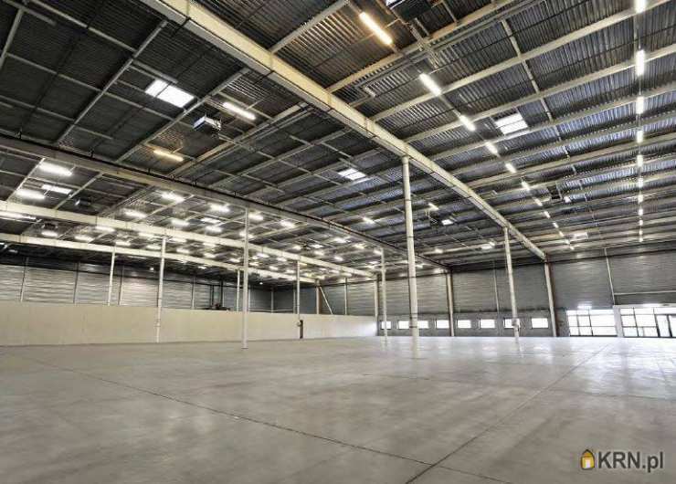 Lokal użytkowy  do wynajęcia, Ożarów Mazowiecki, ul. , 