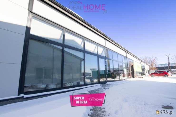 Lokal użytkowy  do wynajęcia, Zamość, ul. , 1 pokojowe