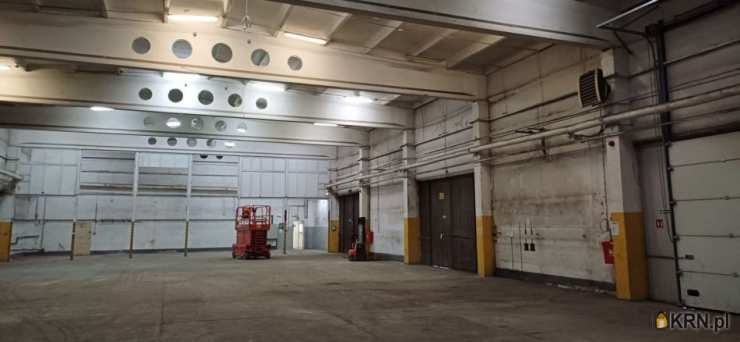 Lokal użytkowy  do wynajęcia, Poznań, Jeżyce, ul. Druskienicka, 