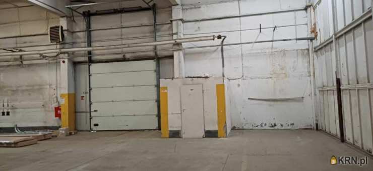 Lokal użytkowy  do wynajęcia, , Poznań, Jeżyce, ul. Druskienicka