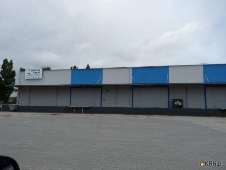 Poznań, Jeżyce, ul. Druskienicka, Lokal użytkowy  do wynajęcia, 