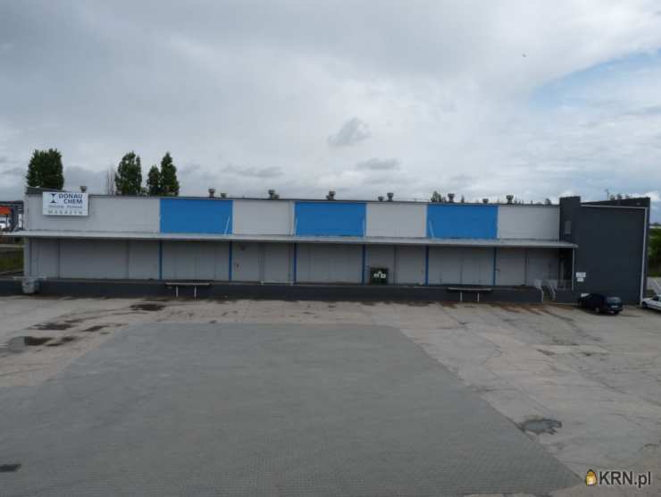 Poznań, Jeżyce, ul. Druskienicka, , Lokal użytkowy  do wynajęcia