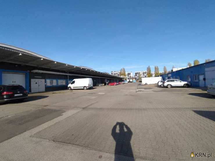 , Poznań, Jeżyce, ul. Druskienicka, Lokal użytkowy  do wynajęcia
