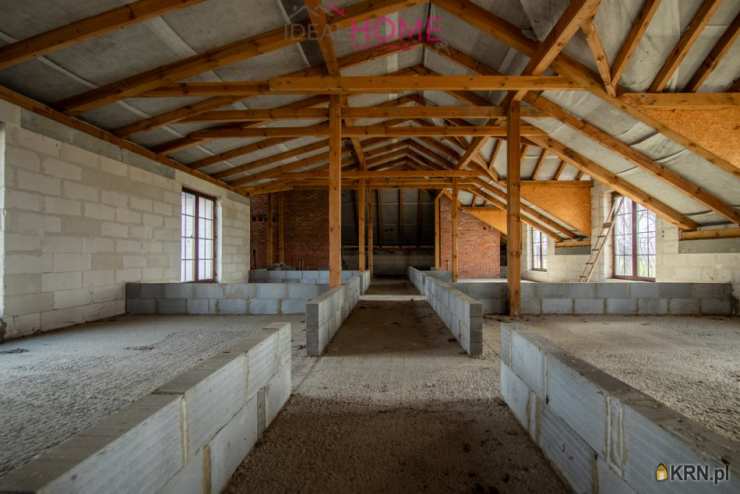 Baranów Sandomierski, ul. , Lokal użytkowy  na sprzedaż, 