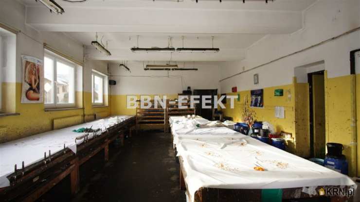 Buczkowice, ul. , Lokal użytkowy  do wynajęcia, 