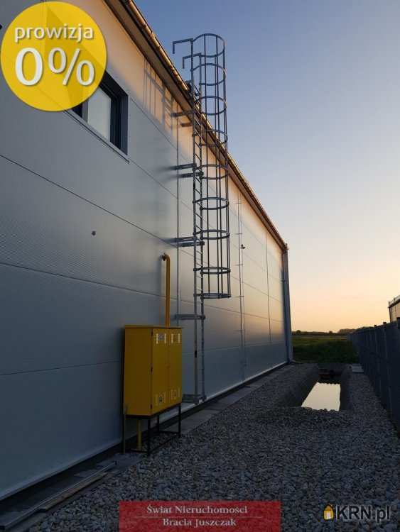 Wrocław, ul. , , Lokal użytkowy  do wynajęcia