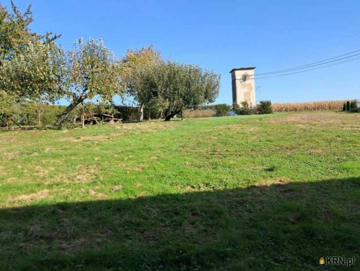 5 pokojowe, Lokal użytkowy  na sprzedaż, Rudziczka, ul. 