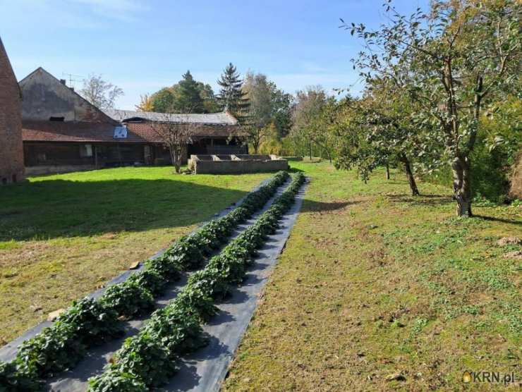 Lokal użytkowy  na sprzedaż, Rudziczka, ul. , 5 pokojowe