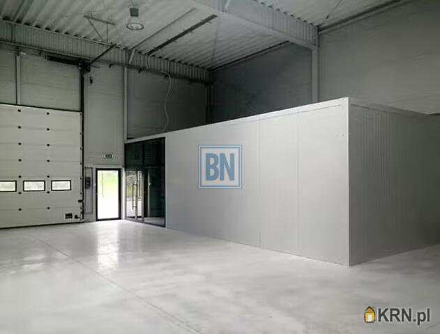 Zabrze, ul. , Lokal użytkowy  do wynajęcia, 