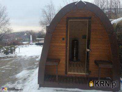 Lokal użytkowy  na sprzedaż, Karpacz, ul. , 