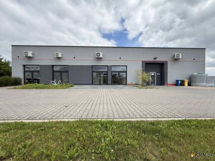 Lokal użytkowy  do wynajęcia, Wielka Wieś, ul. , 2 pokojowe