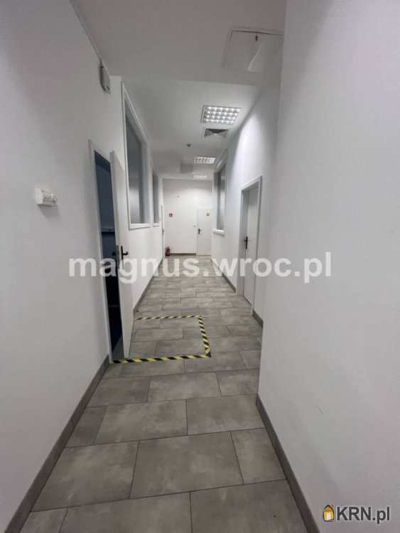 , Wrocław, Stare Miasto, ul. , Lokal użytkowy  do wynajęcia