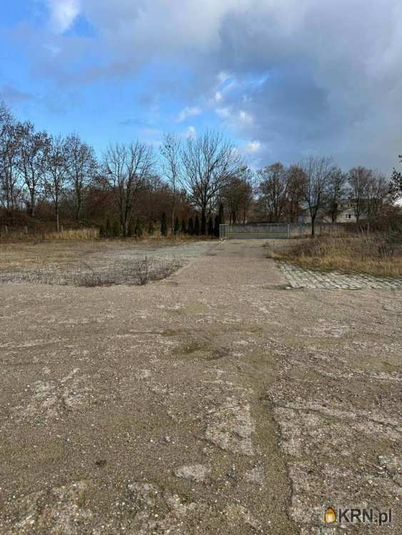 Rakoszyce, ul. , Lokal użytkowy  na sprzedaż, 