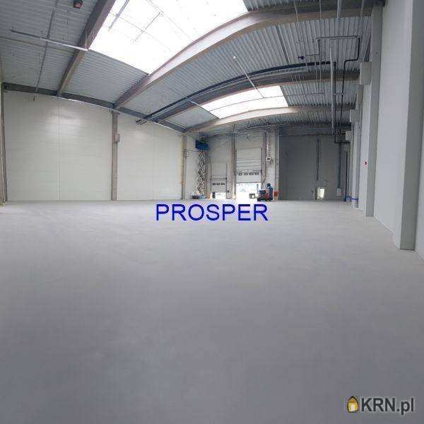 Lokal użytkowy  do wynajęcia, Zabrze, ul. , 