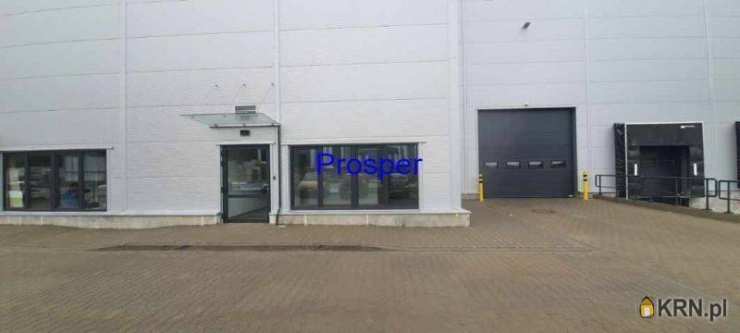 , Lokal użytkowy  do wynajęcia, Zabrze, ul. 